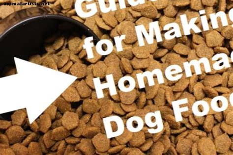 Hur Man Gör Hemlagad Mat Till Hundar Med Pankreatit